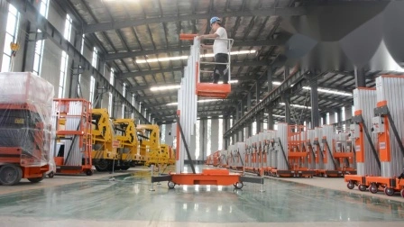 4m 6m 8m 10m One Mast Man Lift Price Single Mast Personal Platform Lift
